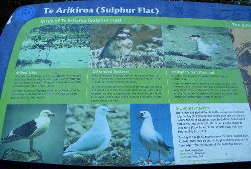 Rotorua - Bird Sign