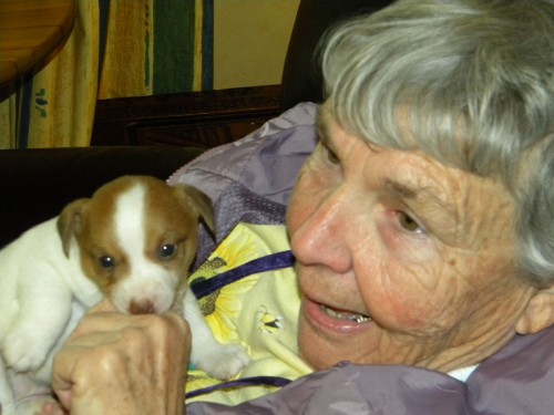 Visiting Donna Stewart - Judy with Puppy