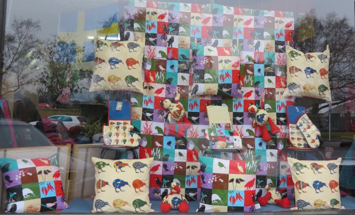 Kiwi in Store Window