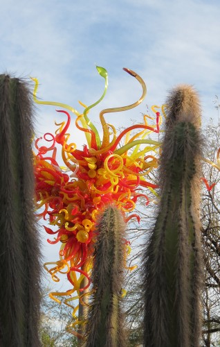 Chihuly 2